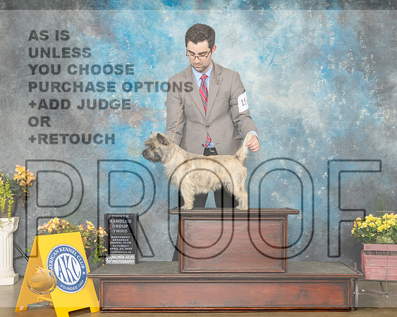 Cairn Terrier #15 Sat OHG3 Judge Betty Pollock-MMJ_0916-NWARK2022-HR3