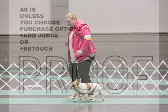 French Bulldog Sat Ring 2_JJL_0660_UKCLNGVIEWOCT2024_2024_HR3