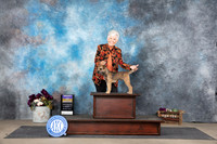 Border Terrier #5 Sat BOB Judge Gloria Kerr