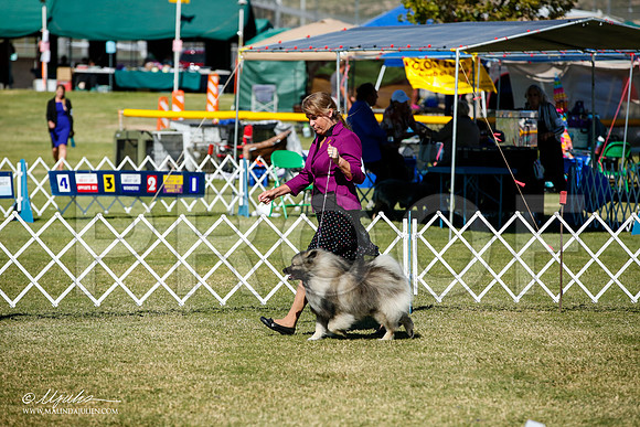 _JJ_1587-AlamogordoOct2014-HR3