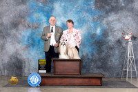 Shih Tzu #5 Sun G4 Judge Rodney Merry