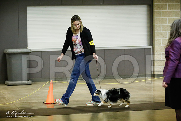_JJ_6933-BeltonJan2015IABCA-HR3