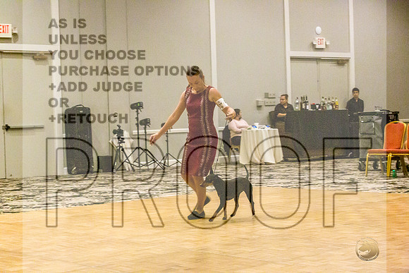Manchester Terrier MTOY Candids-JJL_2149-Hstn2022_HR3