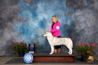 Siberian Husky #15 Fri WD Judge Wendy G Willhauck