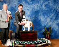Bulldog #23 Fri BOB