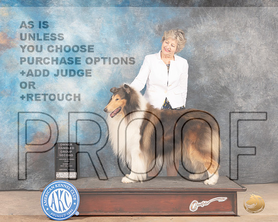 Collie Rough #7 Sun OHG2 Judge Pat Trotter-MMJ_5097-Abilene2022-HR3