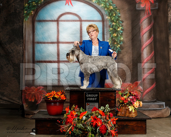 _ST_7139-2-NrmnNov2014-HR3