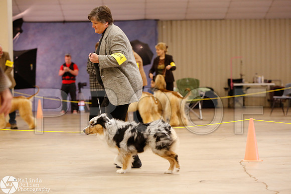 HERDING-9946-Waco14-HR