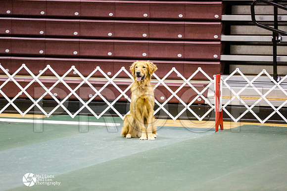_RH_0969-BsrCtyJun2014-HR3