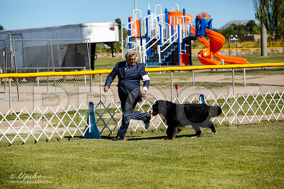 _JJ_0004-AlamogordoOct2014-HR3