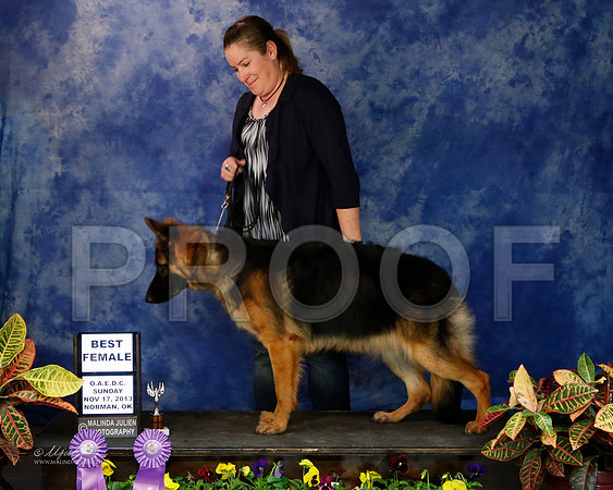 GSD-9356-NormNov13-HR