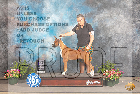 Boxer #12 Fri WB Judge Jan Paulk_MJ_0024_SA_2022_HR3