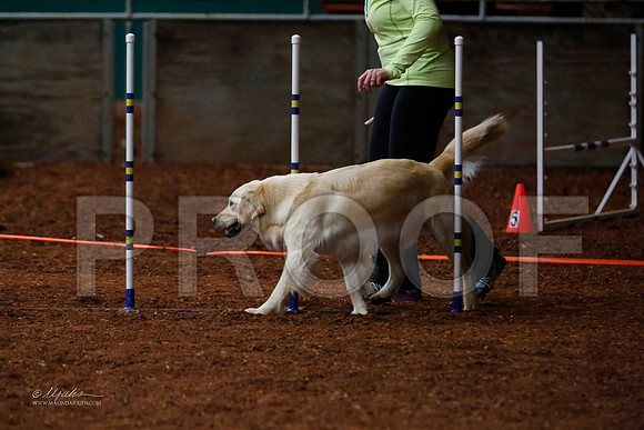 FOpen16-0442-WFOct2013-HR