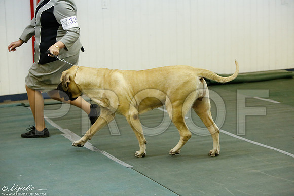 _MJ_4493-DentonMar2015-HR3
