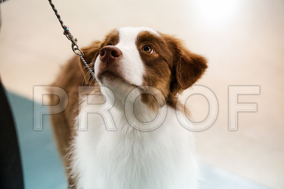 _JJ_7143-ASCACollegeStationNov2014-HR3