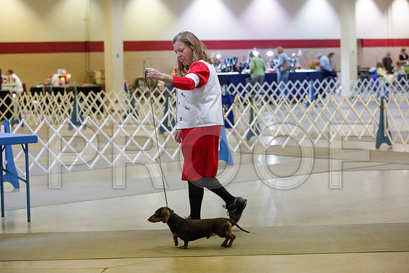 _JJ_3605-AmarilloSept2014-HR3