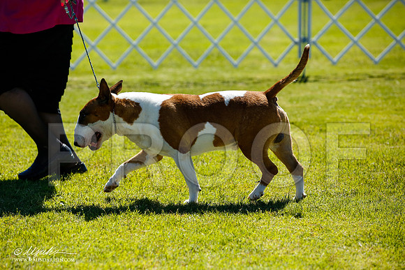 _JN_4846-AlamogordoOct2014-HR3