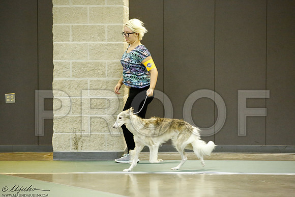 _J3L1034-BeltSep2014-HR