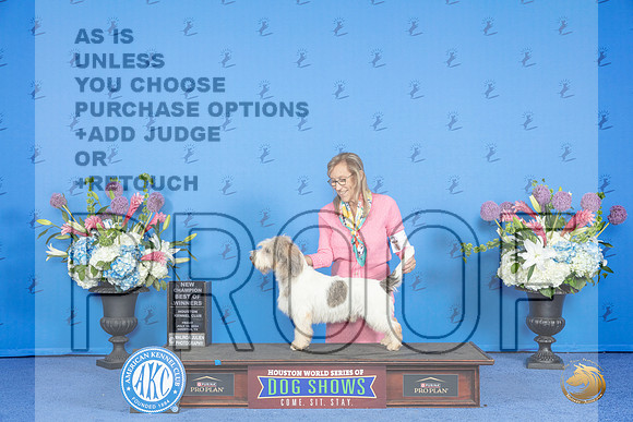 PBGV # FRI BOW NC Judge Debbie Freeman__JP_9061_Houston_2024_HR3