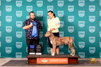 LCLD #207 Sun G1GCH Judge Will Chrazanowski
