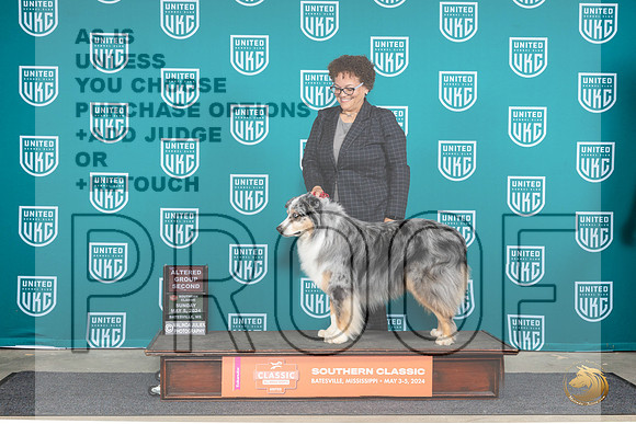 Australian Shepherd #199 Sun G2 Judge Valerie Piltz__JP_6660e_BatesvilleMS_2024_HR3