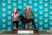 Plott Hound #698 Fri BOB Judge Corianna Glenn