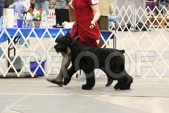 IMG_8783-Abilene2011-HR3