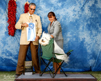 Polish Lowland Sheepdog Mon #6 G1 Wilson Beverly Martin Cabral Bill & Linda Lewis Judge Bart Miller