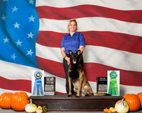 Belgian Malinois #12 Sat High Trial High Combined Kolnsberg Tracie Judge Mr Ralph J Ambrosio