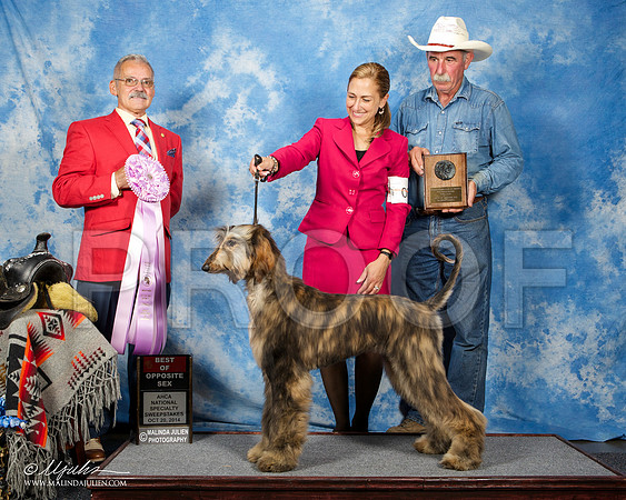 _ST_4496-AfgBeltonOct2014-HR3
