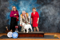 Bulldog #12 Fri G2 Judge Denise Dean