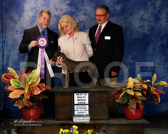 AmHrlss-8915-NormNov2013-HR