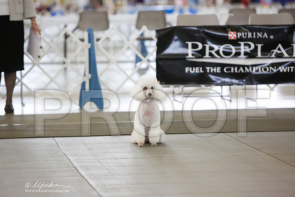 _JN_8006-DallasJul2014-HR3