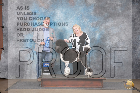 Poodle Standard MC #212 Sat G1 Judge Matthew Proctor__JP_2714_LongviewTX_2024_HR3