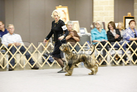 _JJ_9248-AfgBeltonOct2014-HR3