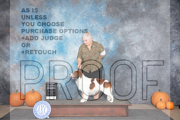 Nederlandse Kooikerhondjes #5 Sat G4 Judge Ann Roth__JP_8851_Humble_2024_HR3