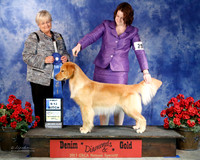 Becky Herman WF Oct 2013