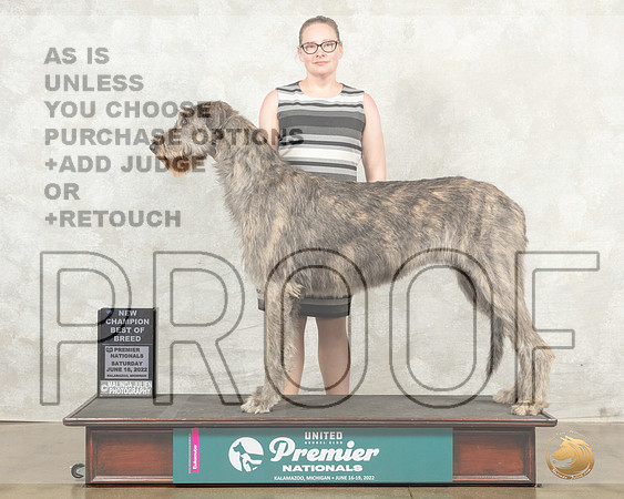 Irish Wolfhound #1225 Sat BOBCh Judge Mary Ellen Meyer__MJ_8644_Premier_2022_HR3