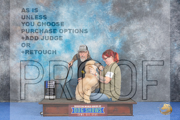 Poodle Standard #84 WED 1st RN Judge Richard Mullen__JP_6900_Houston_2024_HR3