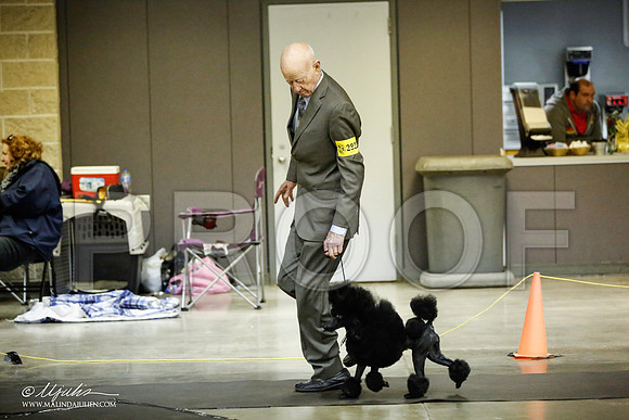 _JJ_5604-BeltonJan2015IABCA-HR3
