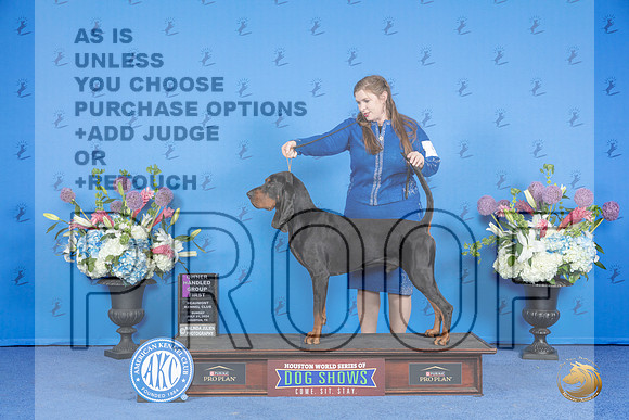 Black and Tan Coonhound #5 SUN OHG1 Judge Prudence Hlatky r__JP_0966_Houston_2024_HR3