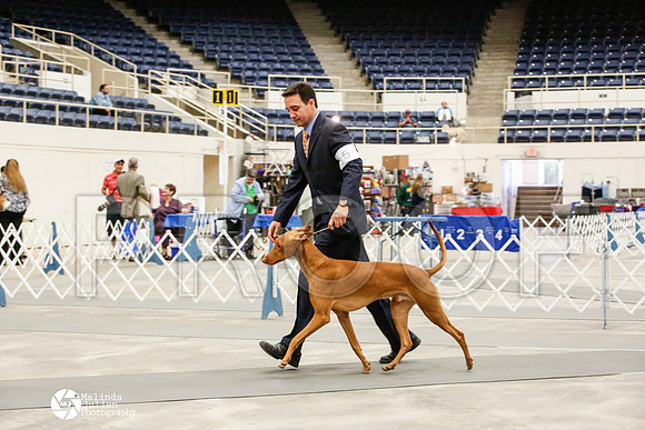 _JJ_0110-AblnMay2014-web