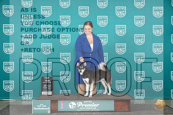 Alaskan Klee Kai Thur BOBT10 Judge Rick Gann__JP_3083_Premier_2024_HR3