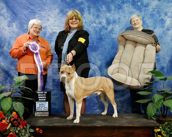 APBT-7210-HtoJan14-HR