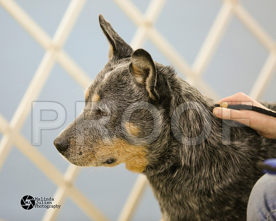 ACD-9277-HtoJan2014-HR3