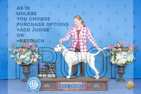 Dalmatian #11 FRI WD BOW M Judge Jon Cole__JP_9175_Houston_2024_HR3