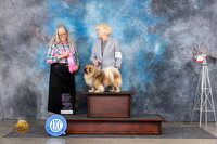 Tibetan Spaniel #5 Fri OHG1 Judge Denise Dean