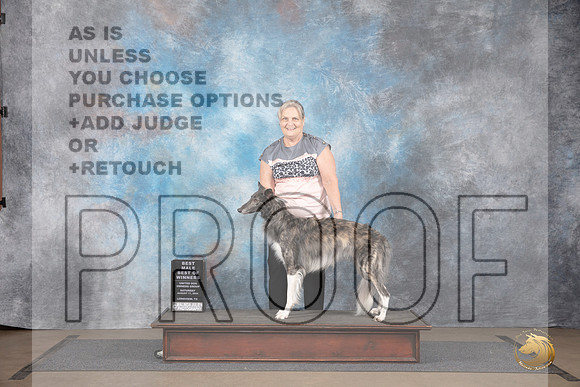 Silken Windhound #297 Sat BM BOW Judge Matthew Proctor__JP_2671_LongviewTX_2024_HR3