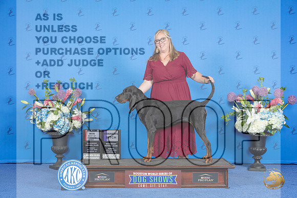Black and Tan Coonhound #6 SUN WB BOS M Judge Angela Pickett__JP_0508_Houston_2024_HR3