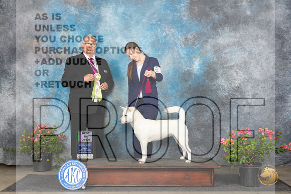 Kishu Ken #6 Sun BOpenShow Judge John Booth__JP_5988_San Antonio_2024_HR3